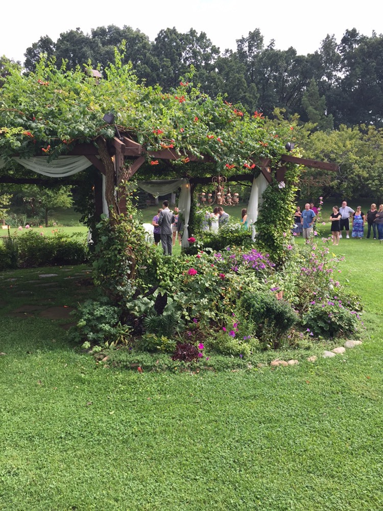 Looking at the mingling guests from the backside of the Flowering Gazebo